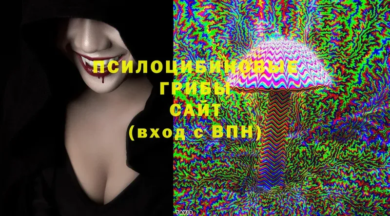 Псилоцибиновые грибы Cubensis  Верхнеуральск 